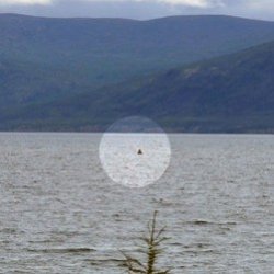 Найдены останки таинственного чудовища озера Лабынкыр