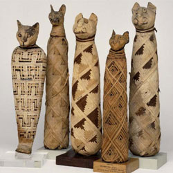 Зачем египтяне делали мумии кошек?