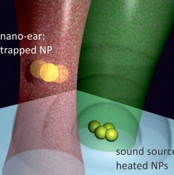 Первое в мире наноухо может слышать бактерии