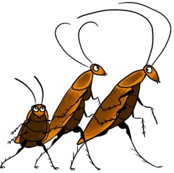 Тест: какие тараканы живут в вашей голове?