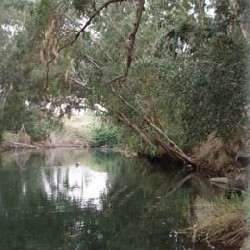 Место крещения Христа, река Иордан, мелеет