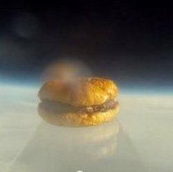 Студенты из Гарварда запустили в космос гамбургер