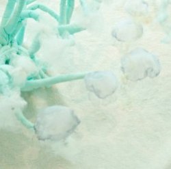 Медузы в аквариуме или талантливая инсталляция из органзы 