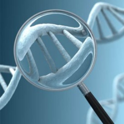 Открытию генома человека 10 лет: 5 усвоенных уроков