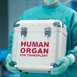 Самые невероятные трансплантации