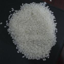 Генетически модифицированный рис поборол аллергию