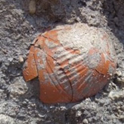 В Израиле нашли удивительные остатки древней пристани