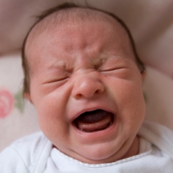 Нужно ли позволять ребенку выплакаться?