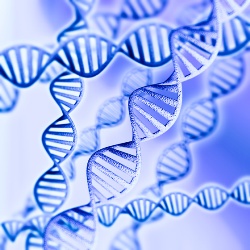 ДНК может прожить 6,8 миллионов лет после смерти