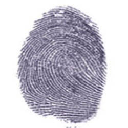 Впервые использованы отпечатки пальцев в криминалистике