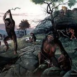 Люди спустились с деревьев 4 миллиона лет назад