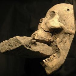 В Венеции найден череп "вампира"