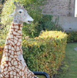 Твори добро…в костюме жирафа
