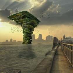 Плавающее дерево спасет флору и фауну больших городов
