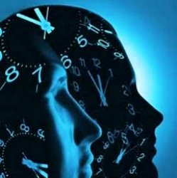 "Мозговые часы" помогают нам чувствовать время