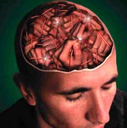5 неразгаданных тайн мозга