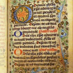 Книжная грязь рассказала о секретах читателей средневековья
