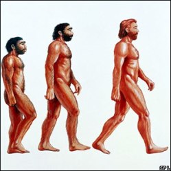 15 основных заблуждений об эволюции  