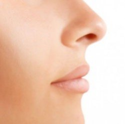 10 фактов о носе и обонянии