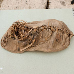 Найдена самая старая кожаная обувь в мире