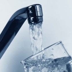 Амебы в питьевой воде: двойная угроза