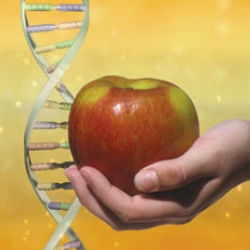 Пищевая геномика – новое научное направление
