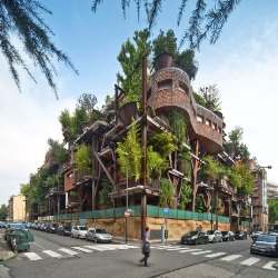 Городской дом на дереве защищает жителей от шума и загрязненного воздуха