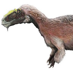 Найден самый крупный пернатый динозавр