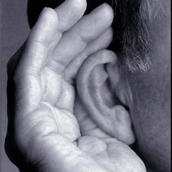 Селективный слух - разгадка в мозге