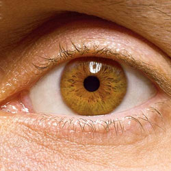 Физическая активность снижает риски глазных болезней