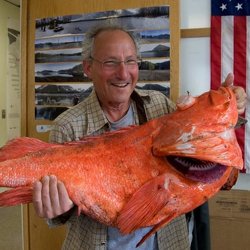 На Аляске поймали самую большую рыбу, которой больше 200 лет 