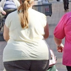 Британские женщины самые толстые в Европе