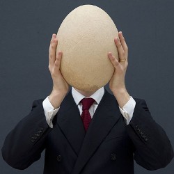 Самое большое яйцо в мире выставлено на аукцион
