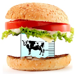 Первый в мире гамбургер из искусственно выращенного мяса за 325 000 долларов 