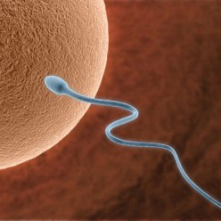 Мутация спермы – причина мужского бесплодия