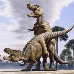 Как 30-тонные динозавры занимались сексом?