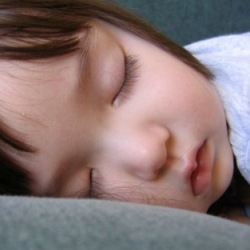 Сон – лучшее средство пополнить словарный запас