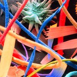 25 простых вещей, которые выглядят невероятно под микроскопом