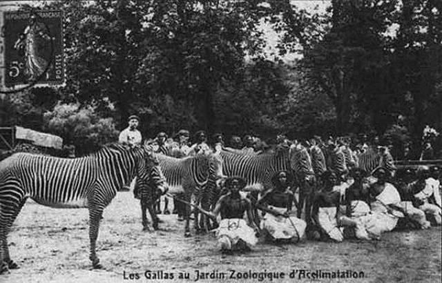 Забытые истории человеческих зоопарков с фото