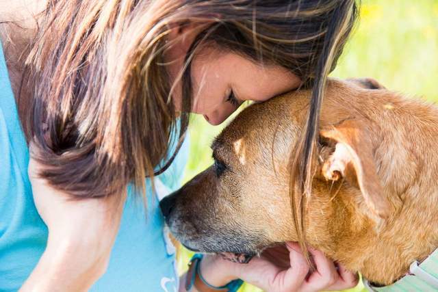 13 удивительных секретов, которые ваша собака знает о вас