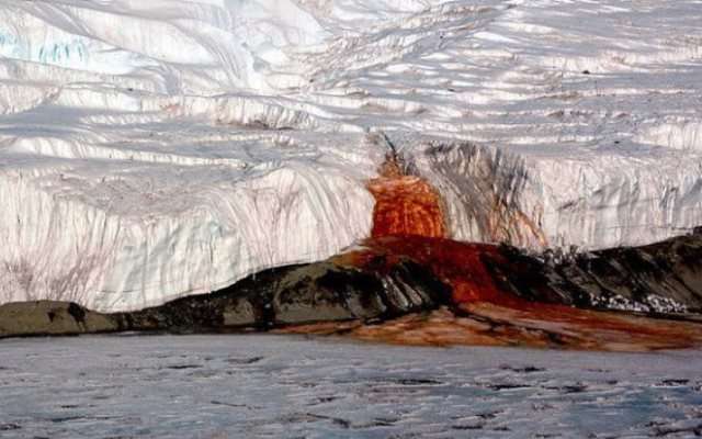 10 захватывающих чудес Антарктики