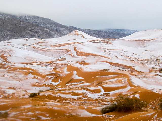 В пустыне Сахара впервые за 40 лет выпал снег