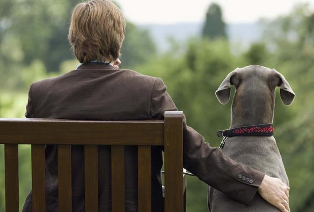 13 удивительных секретов, которые ваша собака знает о вас