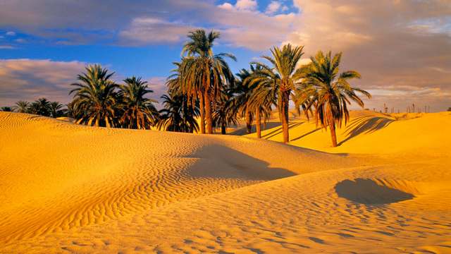 В пустыне Сахара впервые за 40 лет выпал снег