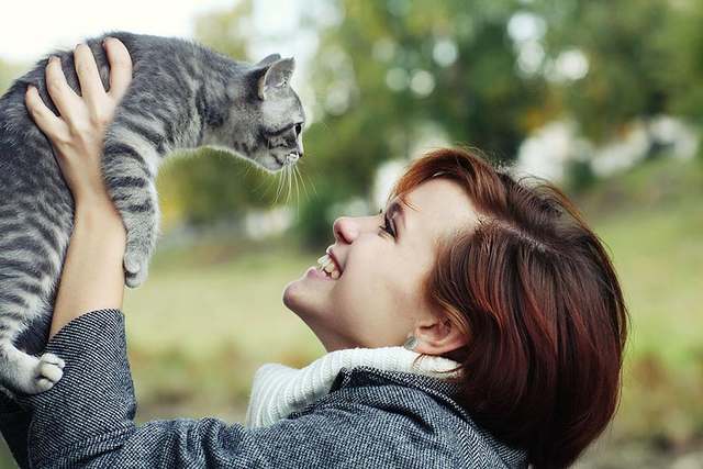20 любопытных фактов о кошках