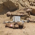 На египетском кладбище найдено больше миллиона мумий