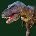 Мифы о динозаврах