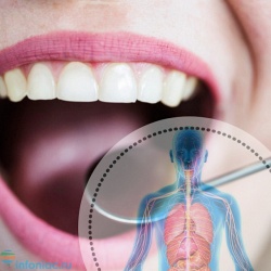 Каждый зуб связан с другим органом в нашем теле: о каких проблемах это предупреждает