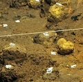 Под древним храмом в Мексике найдены сотни загадочных желтых сфер