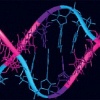 Исследователи обнаружили 10 генов, которые повышают риск внезапной смерти
